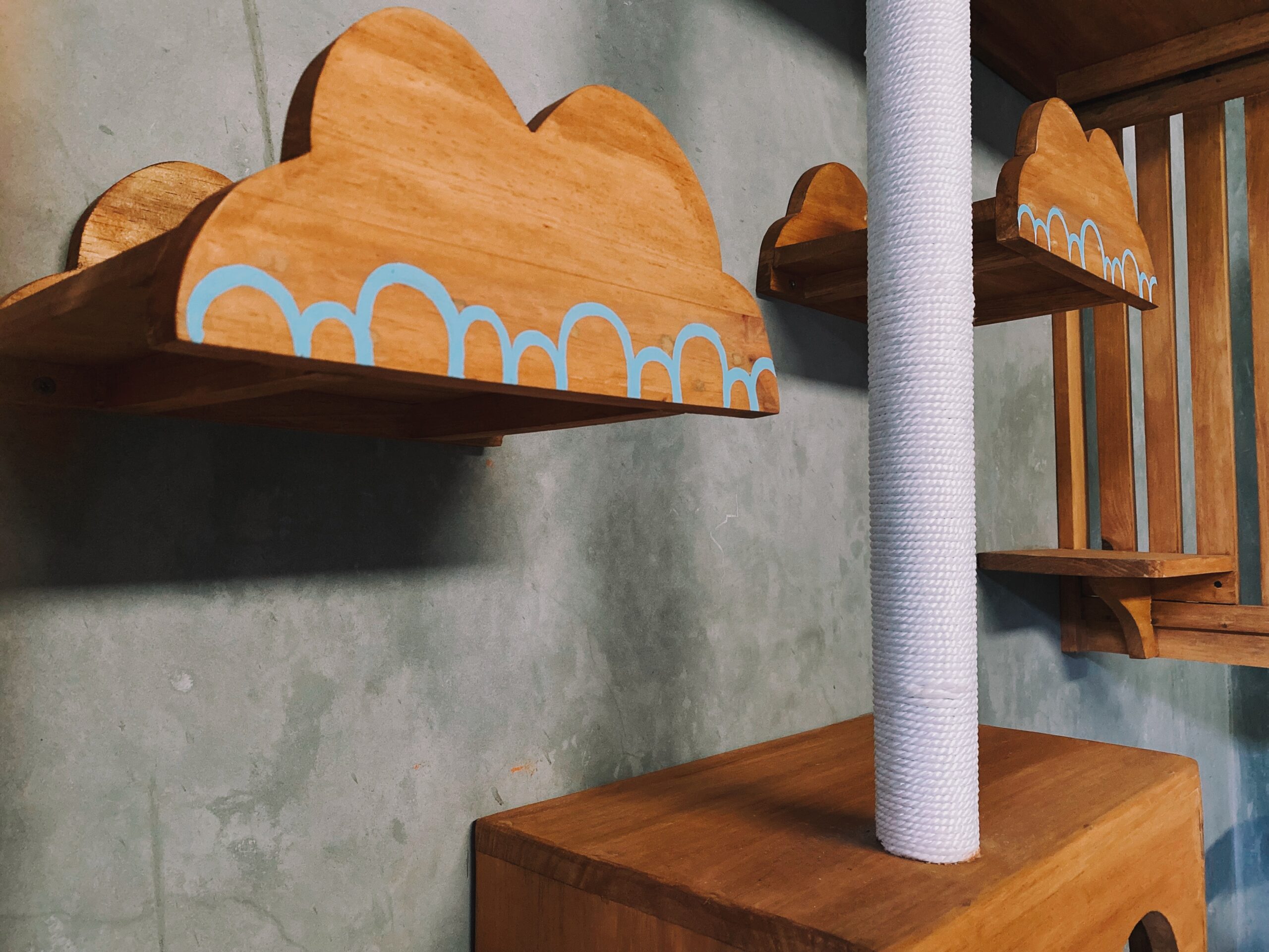 Custom PetCasa PlayCasa project 5