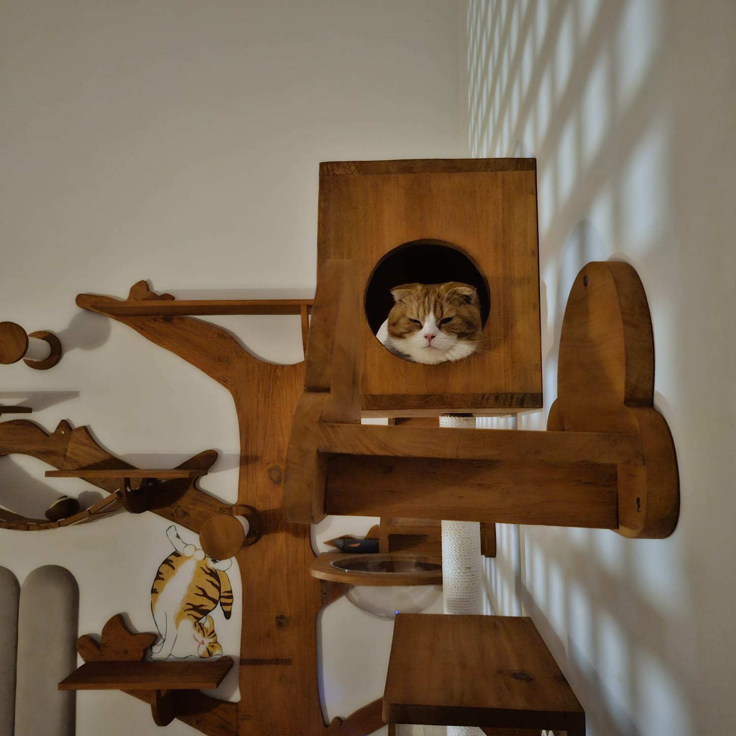 Original PetCasa archive project 20