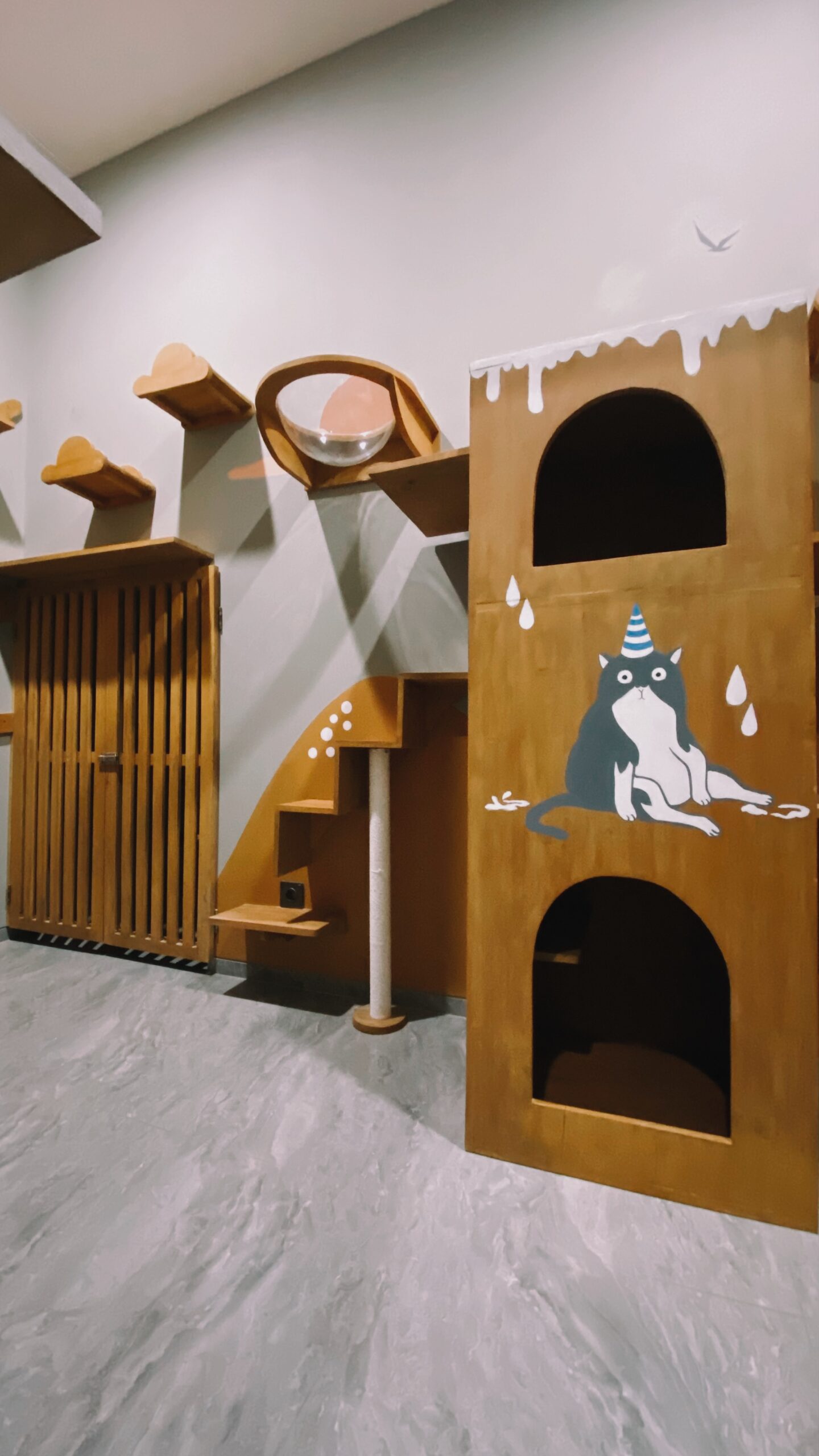 PetCasa for the climber