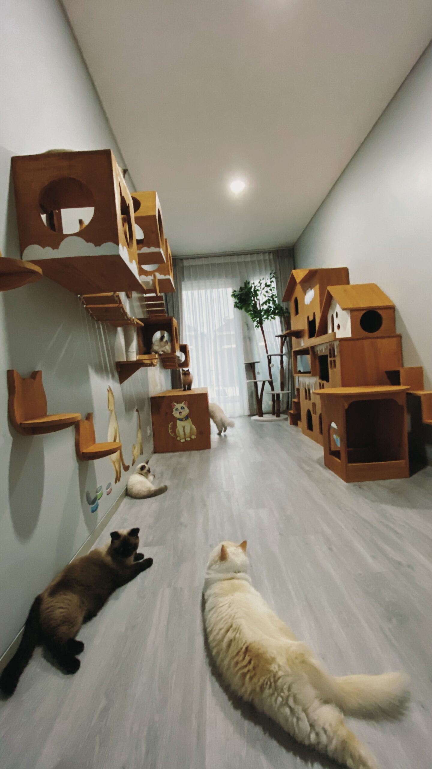 Original PetCasa archive project 18