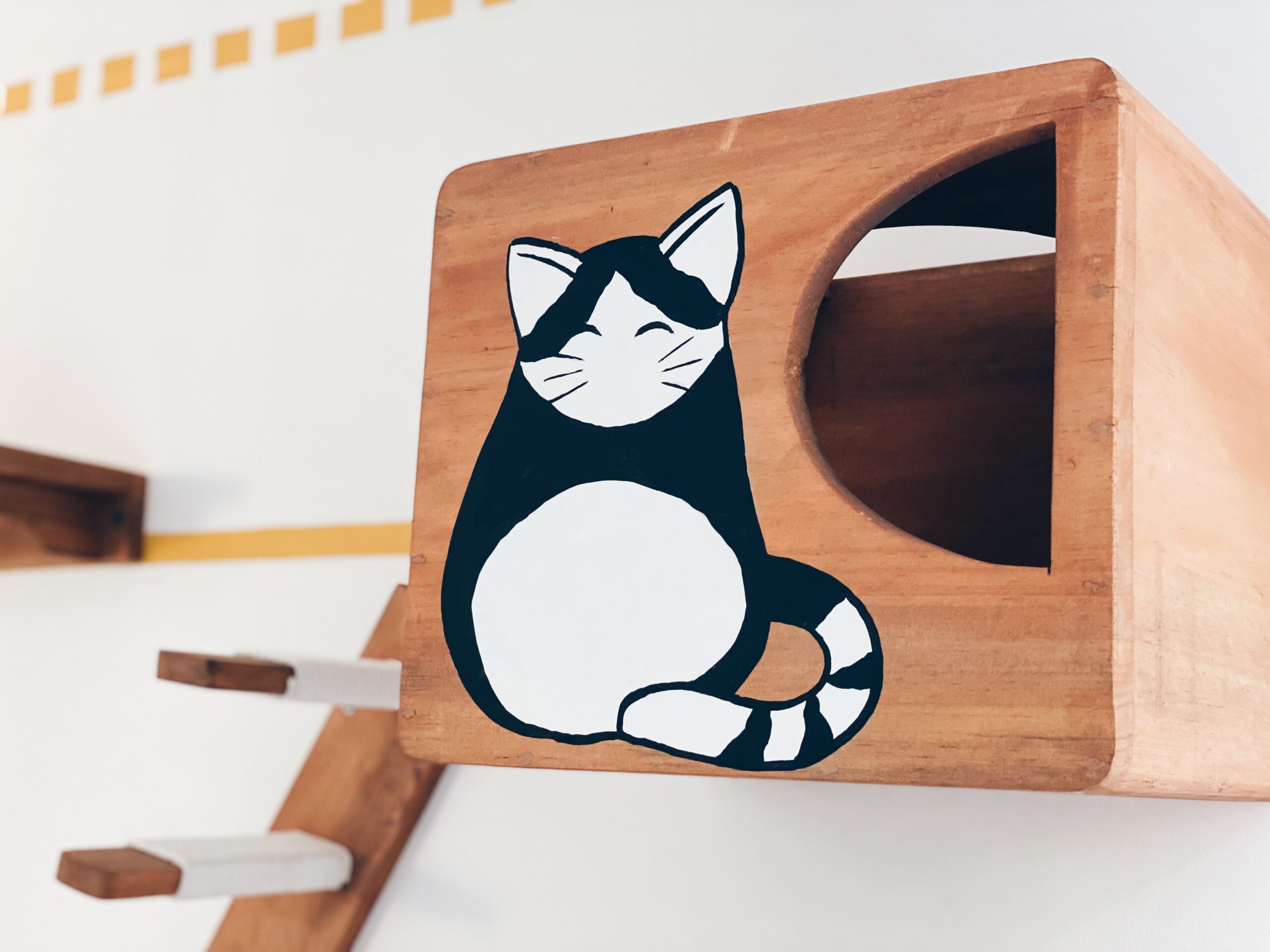 Original PetCasa archive project 15