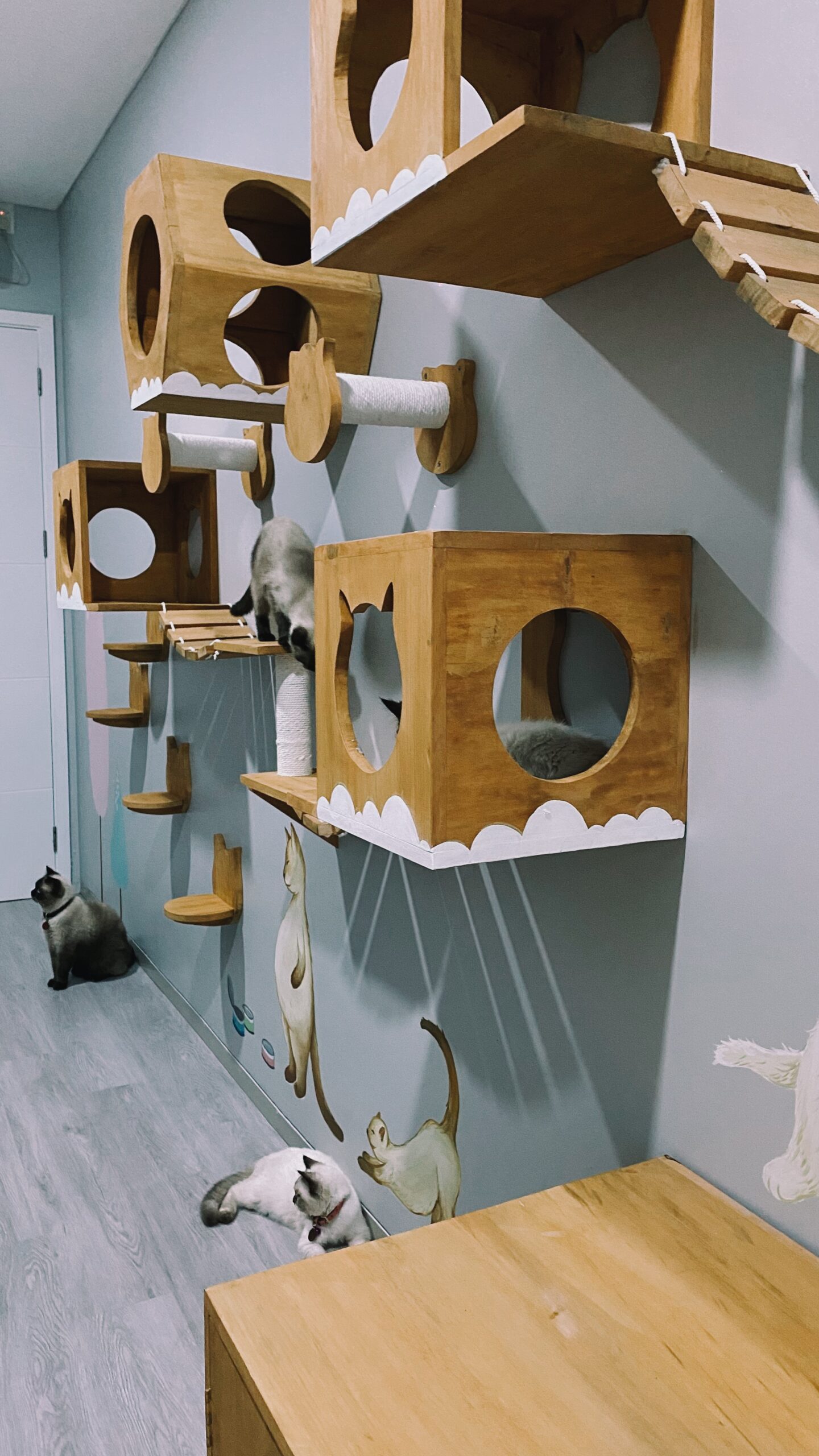 Custom PetCasa PlayCasa project 10