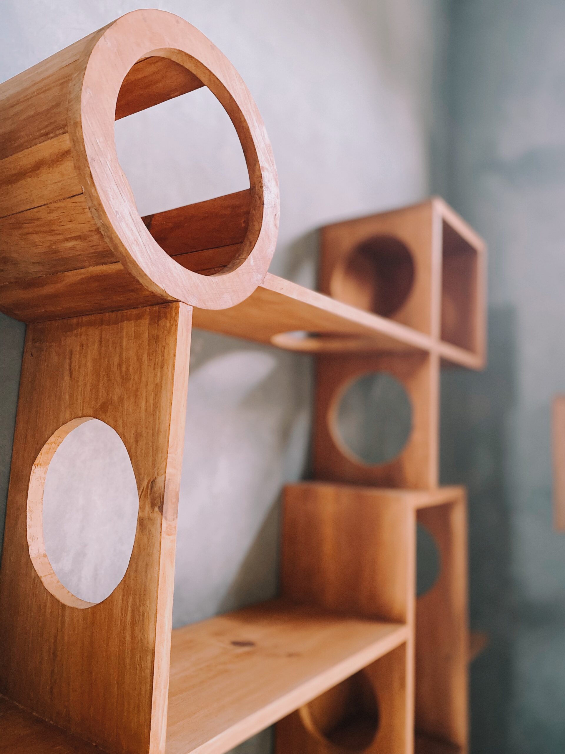 Custom PetCasa PlayCasa project 11