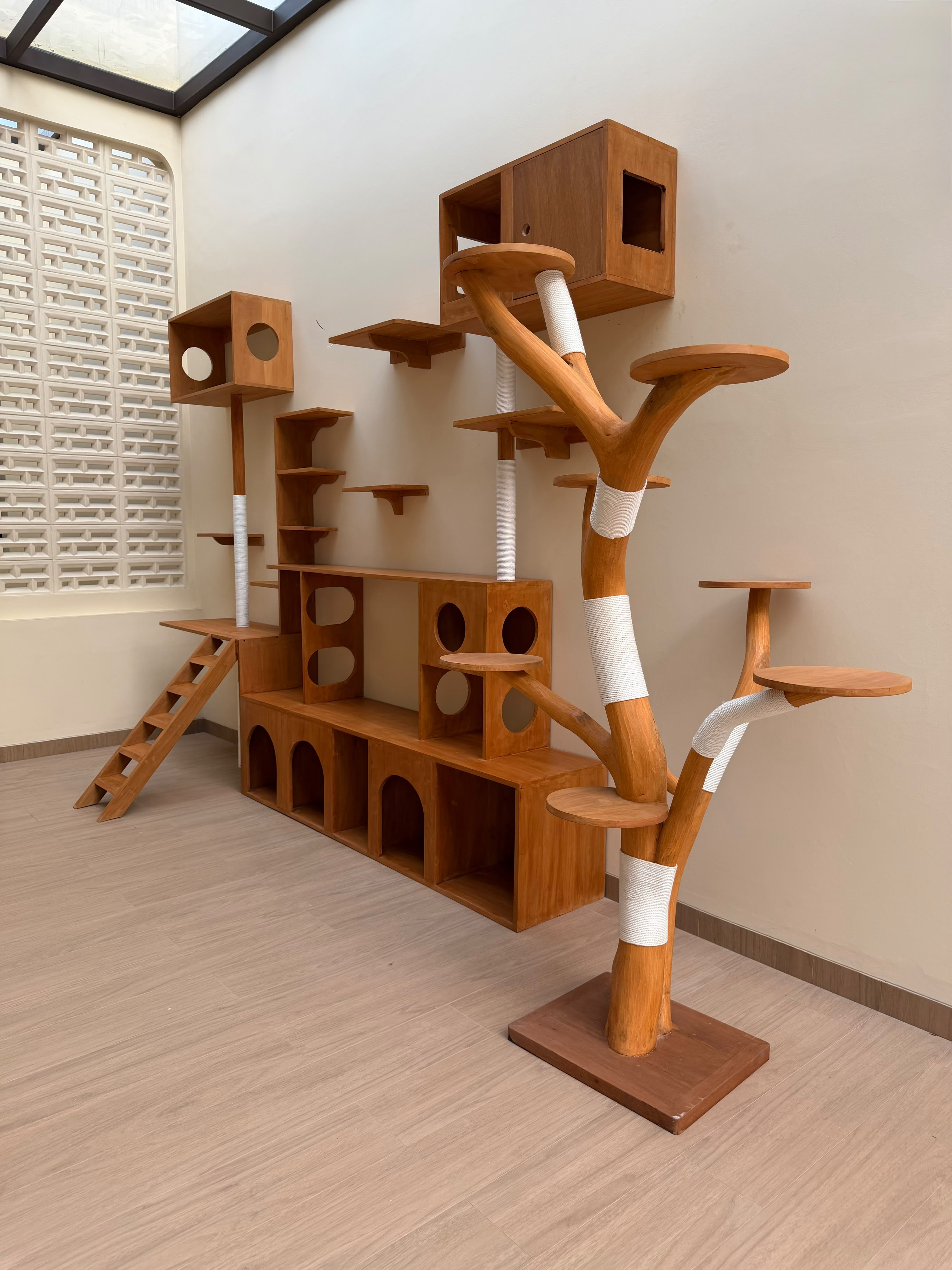 PetCasa for the climber